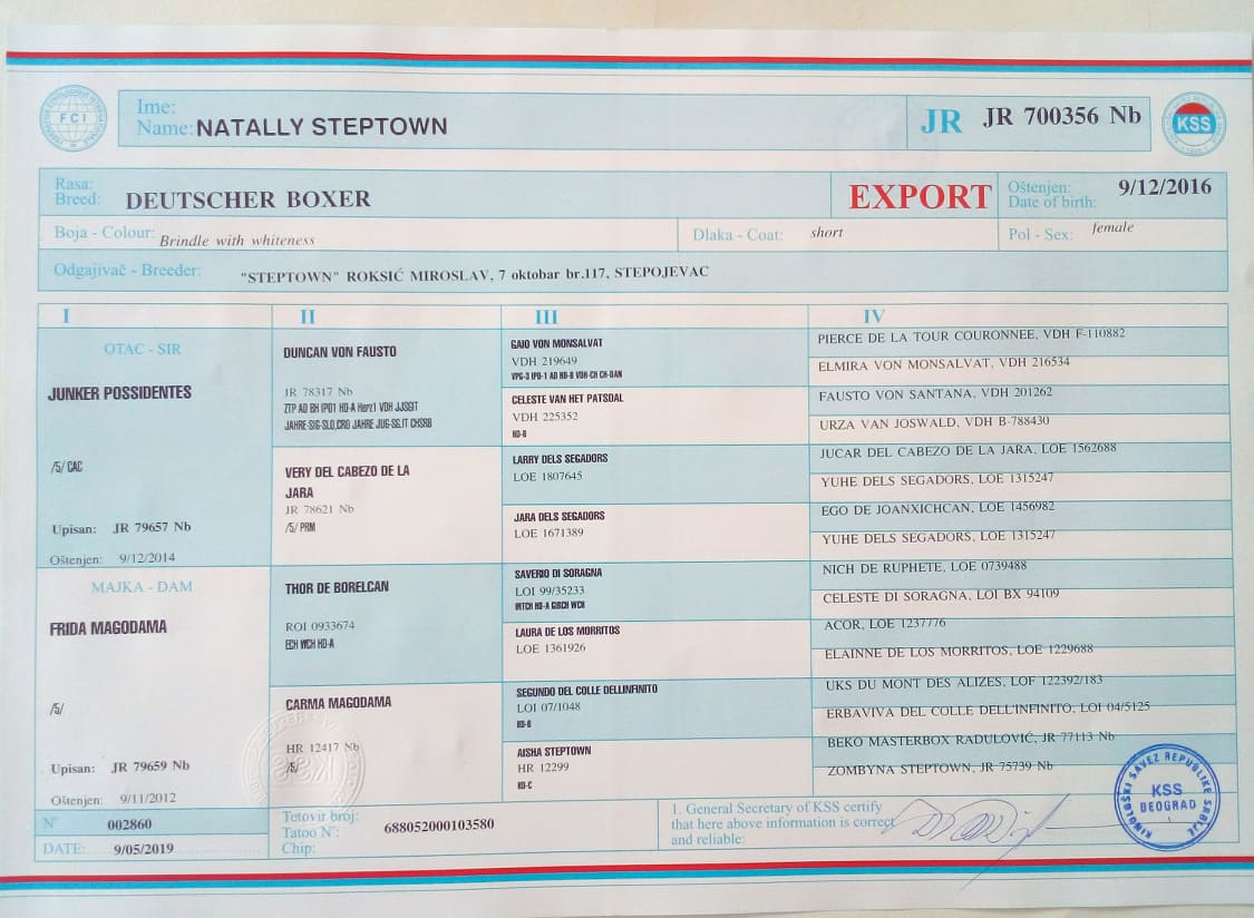 Nat FCI export pedigree